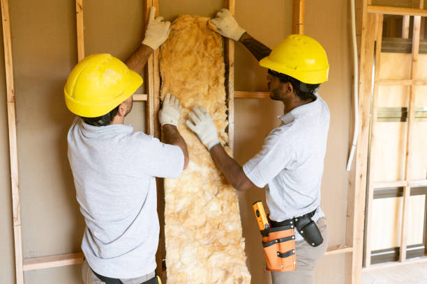 Best Insulation Air Sealing in Springfield, OH